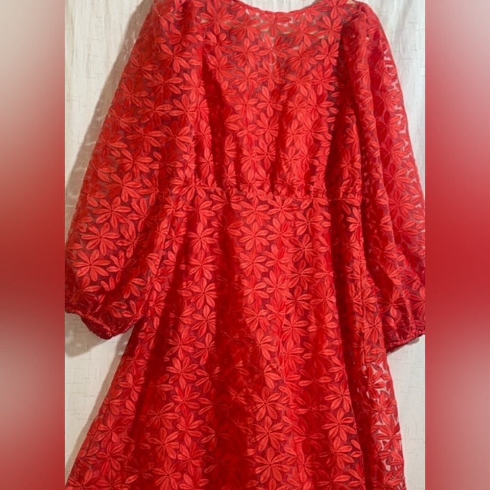 Bnwt Pretty Floral Pink Coral Zara Dress S-M See through matching slip - Picture 3 of 15